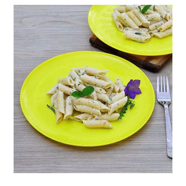 Brand New - Brand New – Youngever 9-Pack 10-Inch Large Plastic Dinner Plates – Yel