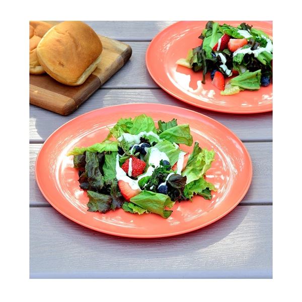 Brand New - Brand New – Youngever 9-Pack 10-Inch Large Plastic Dinner Plates – Pea