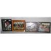 Image 1 : Lots Of 4 Autographed Framed Bull Riders
