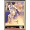 Image 1 : 1992 LEAF DEVON WHITE