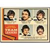 Image 1 : 1974-75 TOPPS HOCKEY TORONTO MAPLE LEAFS