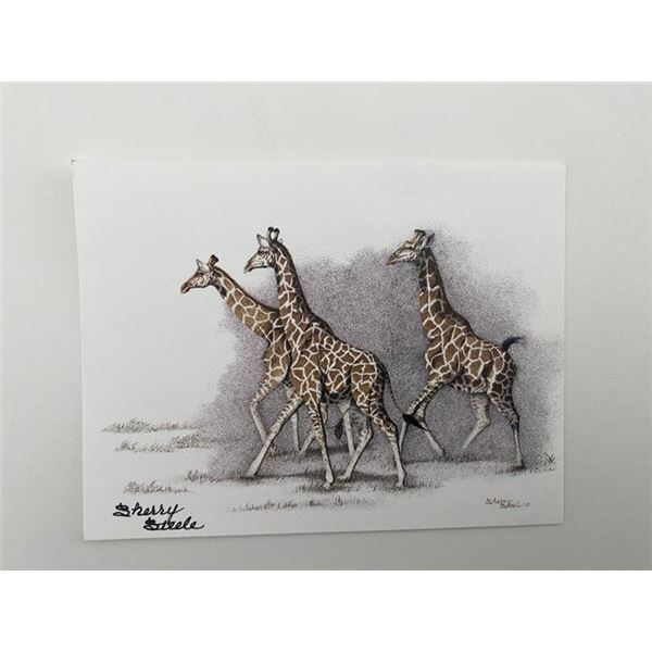 Sherry Steele signed Giraffes Postcard