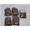 Image 1 : 5 Bags of 250 Wheat Pennies-5 Times the Bid
