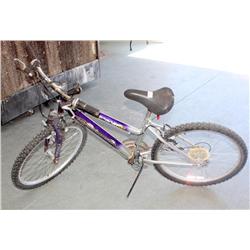 Purple Roadmaster Mountain Sport SX 10 Speed