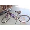 Purple Roadmaster Mountain Sport SX 10 Speed