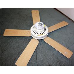 Ceiling Fan