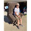 Image 11 : POWER LIFT RECLINER CHAIR - WORKS!