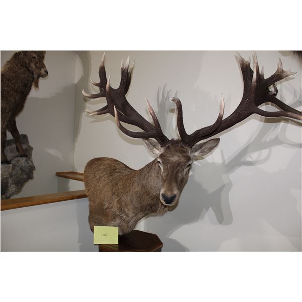 Red Stag – Pedestal (#100)