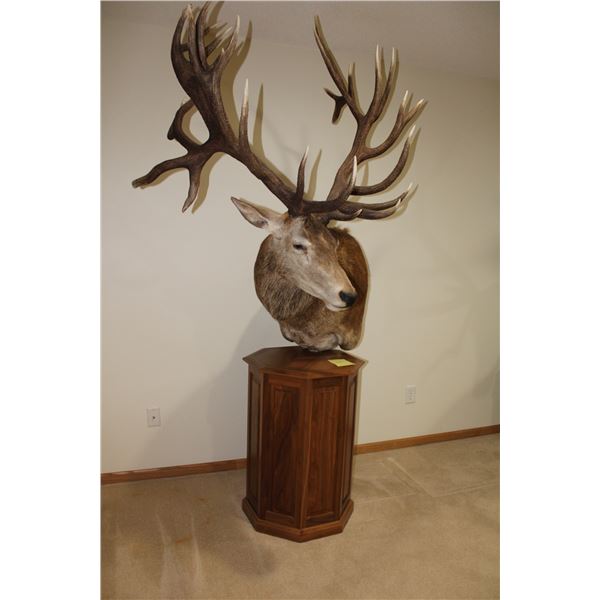 Red Stag – Pedestal (D1)