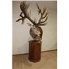 Image 1 : Red Stag – Pedestal (D1)