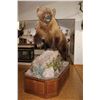 Image 2 : Kamtchatka Brown Bear Full Body Mount