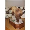 Image 3 : Kamtchatka Brown Bear Full Body Mount