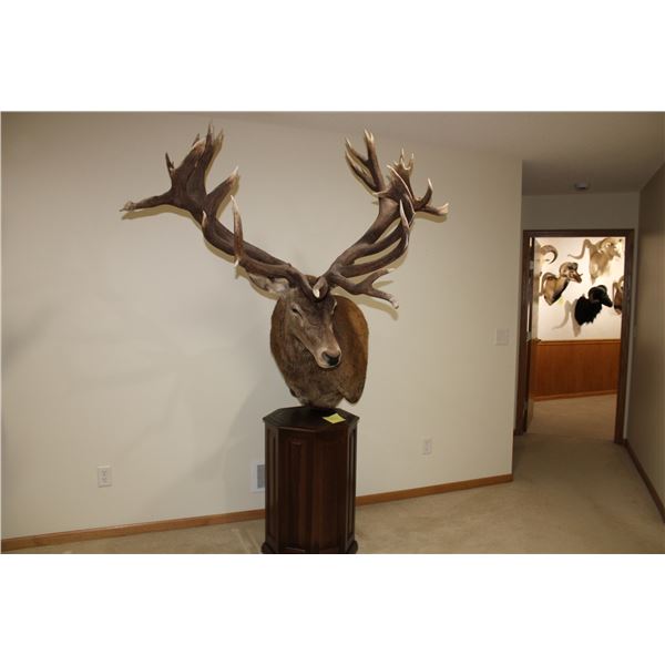 Red Stag – Pedestal (D2)