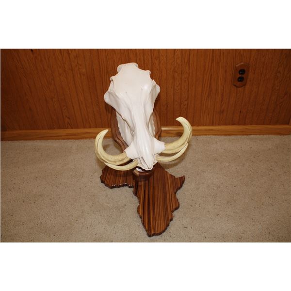 Warthog – European Mount on Pedestal (D40)