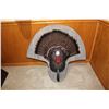 Image 1 : Turkey Fan and Beard – Plaque Mount (D44)