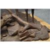 Image 10 : WESTERN BRONZE (R.C. LYNCH)