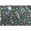 Image 11 : TURQUOISE CABS