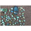 Image 6 : TURQUOISE CABS