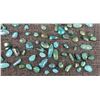 Image 9 : TURQUOISE CABS