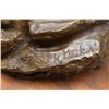 Image 8 : WESTERN BRONZE (K GOUKER)