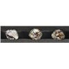 Image 3 : NAVAJO CONCHO BELT