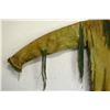 Image 7 : COMANCHE/KIOWA SHIRT