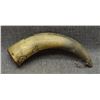 Image 2 : WASCO POWDER HORN