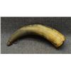 Image 4 : WASCO POWDER HORN