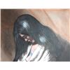 Image 6 : ORIGINAL PAINTING (LAWRENCE BENJAMIN PORTER)