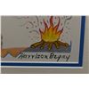 Image 3 : NAVAJO PAINTING (HARRISON BEGAY)