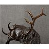Image 11 : BRONZE SCULPTURE (NICHOLAS WILSON)