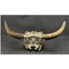 Image 3 : NAVAJO PAINTED COW SKULL (SIGNED)
