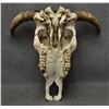 Image 5 : NAVAJO PAINTED COW SKULL (SIGNED)