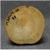 Image 10 : HOPI KACHINA (M DALLAS)