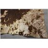 Image 11 : PLAINS PAINTED BUFFALO HIDE