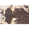 Image 12 : PLAINS PAINTED BUFFALO HIDE
