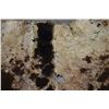 Image 13 : PLAINS PAINTED BUFFALO HIDE