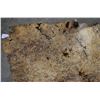 Image 14 : PLAINS PAINTED BUFFALO HIDE