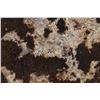 Image 15 : PLAINS PAINTED BUFFALO HIDE