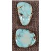 Image 3 : TURQUOISE CABS