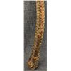 Image 13 : WESTERN ROPE, QUIRK, AND BOSAL