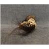Image 4 : NAVAJO RATTLE