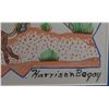 Image 3 : NAVAJO PAINTING (HARRISON BEGAY)