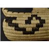 Image 11 : PAPAGO BASKETRY DUCK