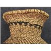 Image 10 : APACHE BASKETRY OLLA