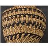 Image 8 : APACHE BASKETRY OLLA