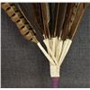 Image 3 : PLAINS PEYOTE FAN AND RATTLES