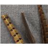 Image 5 : PLAINS PEYOTE FAN AND RATTLES