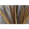 Image 6 : PLAINS PEYOTE FAN AND RATTLES
