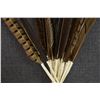 Image 7 : PLAINS PEYOTE FAN AND RATTLES